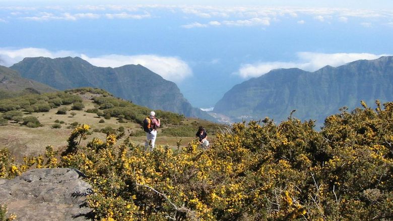 Wanderungen ab Funchal und Caniço