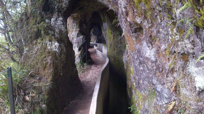 Wanderungen ab Funchal und Caniço
