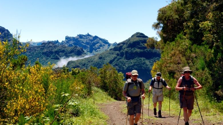 Walking Tour 1: Madeira Hiking in the northeast
