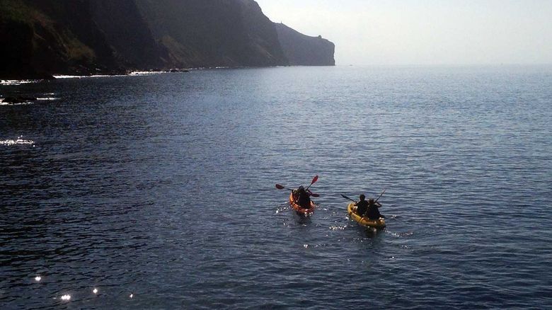 Kayak Tours from Funchal